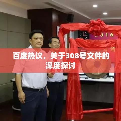 百度热议，关于308号文件的深度探讨