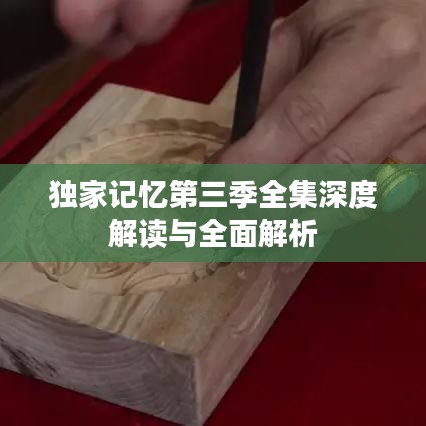 独家记忆第三季全集深度解读与全面解析