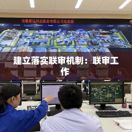 建立落实联审机制：联审工作 