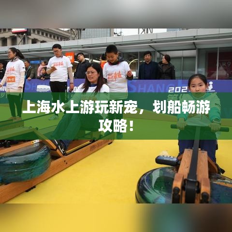 上海水上游玩新宠，划船畅游攻略！