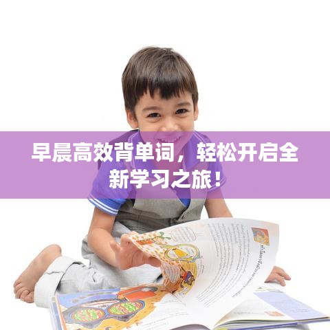 公司介绍 第94页