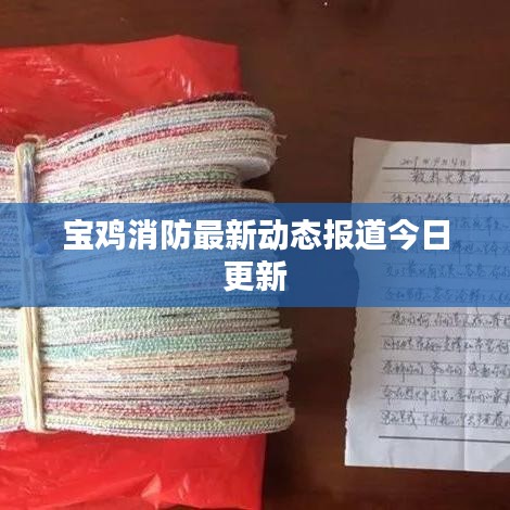 宝鸡消防最新动态报道今日更新