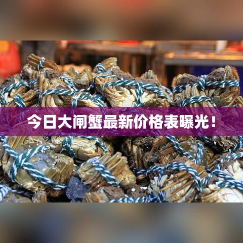 今日大闸蟹最新价格表曝光！