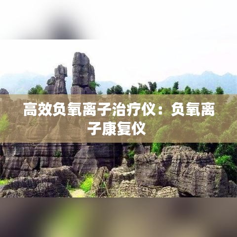 高效负氧离子治疗仪：负氧离子康复仪 
