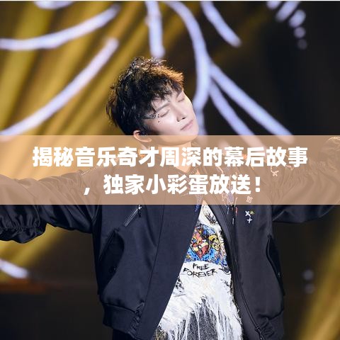 专家团队 第92页