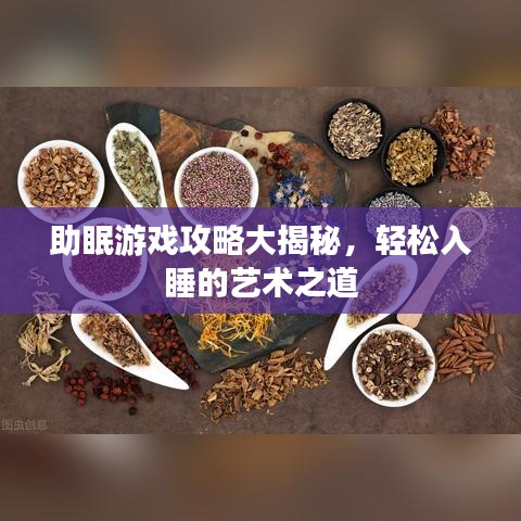 助眠游戏攻略大揭秘，轻松入睡的艺术之道