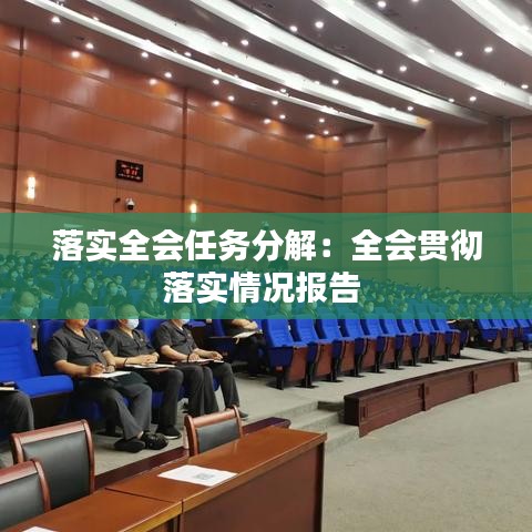 落实全会任务分解：全会贯彻落实情况报告 