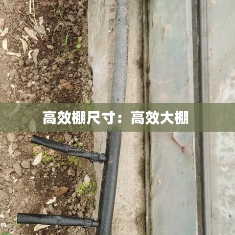 高效棚尺寸：高效大棚 
