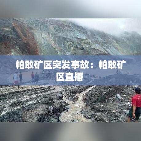 帕敢矿区突发事故：帕敢矿区直播 