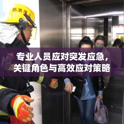 专业人员应对突发应急，关键角色与高效应对策略揭秘