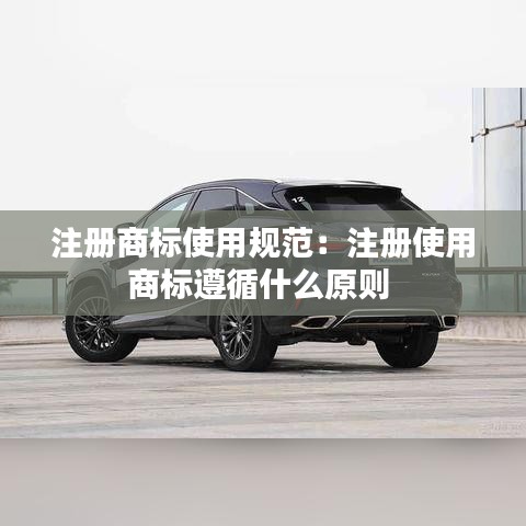 注册商标使用规范：注册使用商标遵循什么原则 