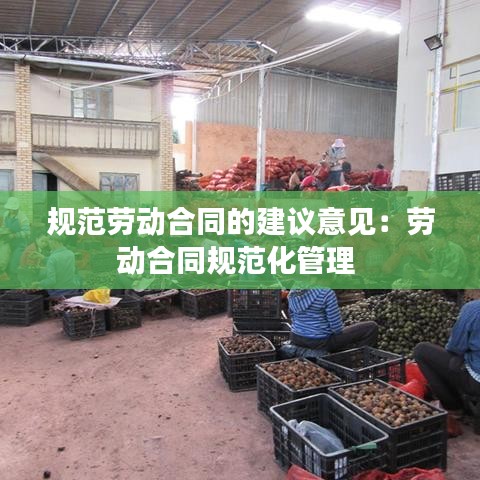 规范劳动合同的建议意见：劳动合同规范化管理 