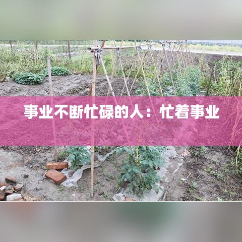 事业不断忙碌的人：忙着事业 