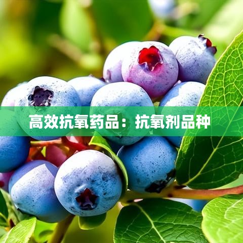 高效抗氧药品：抗氧剂品种 