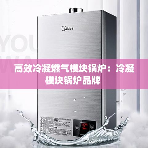 高效冷凝燃气模块锅炉：冷凝模块锅炉品牌 