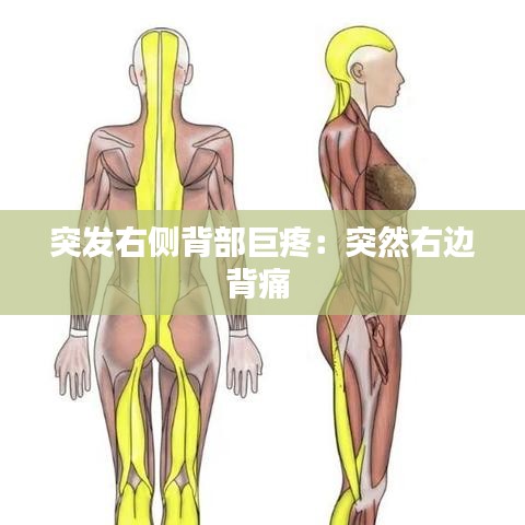 突发右侧背部巨疼：突然右边背痛 