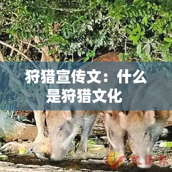 狩猎宣传文：什么是狩猎文化 