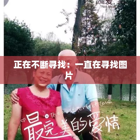 正在不断寻找：一直在寻找图片 