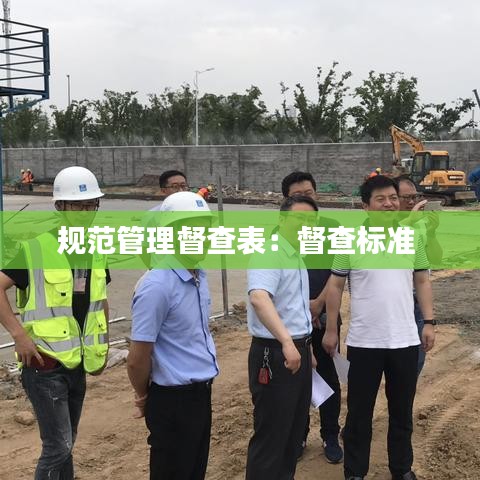 规范管理督查表：督查标准 