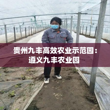 贵州九丰高效农业示范园：遵义九丰农业园 