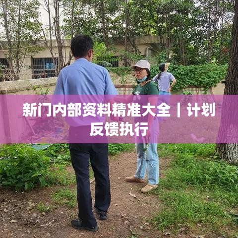 新门内部资料精准大全｜计划反馈执行