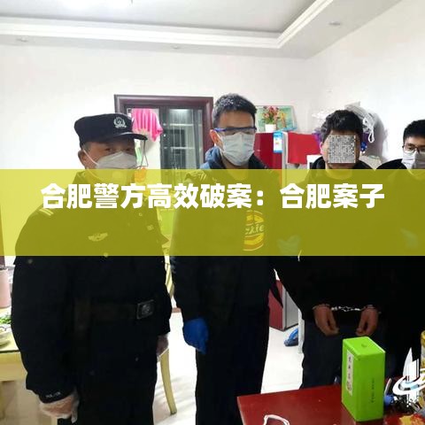 合肥警方高效破案：合肥案子 