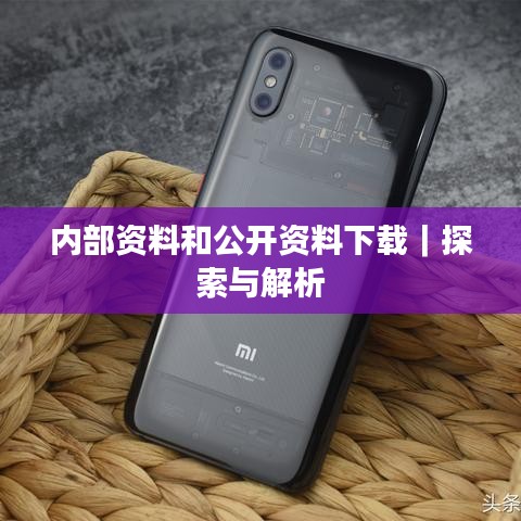 内部资料和公开资料下载｜探索与解析