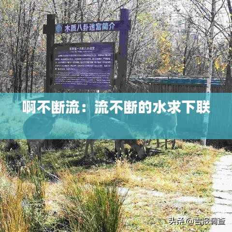 啊不断流：流不断的水求下联 