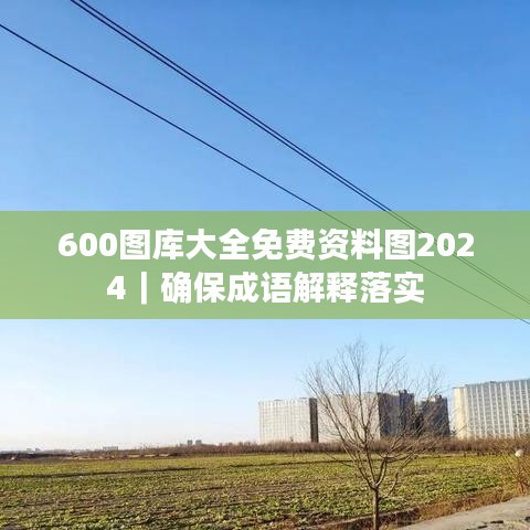 600图库大全免费资料图2024｜确保成语解释落实