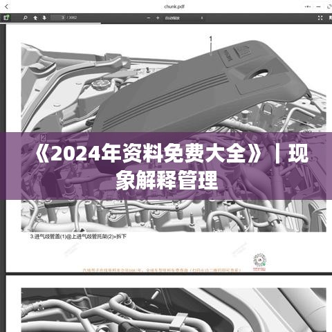 《2024年资料免费大全》｜现象解释管理