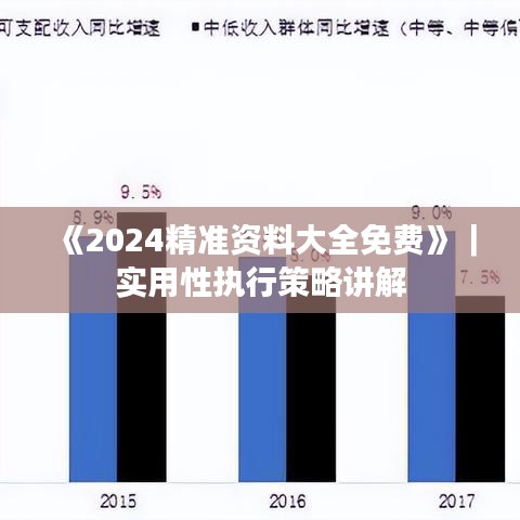 《2024精准资料大全免费》｜实用性执行策略讲解