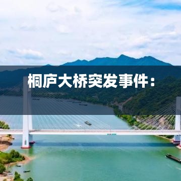 桐庐大桥突发事件： 