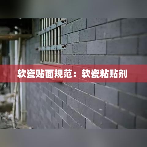 软瓷贴面规范：软瓷粘贴剂 