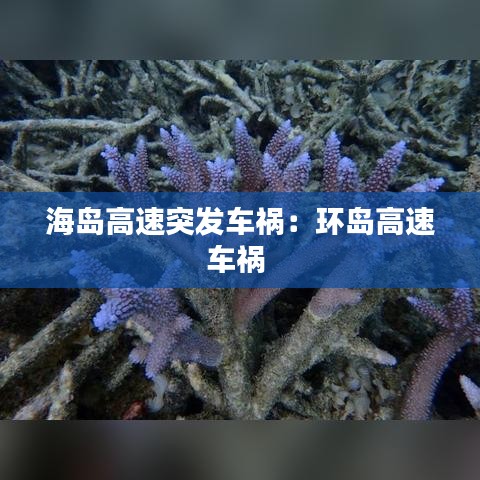 海岛高速突发车祸：环岛高速车祸 