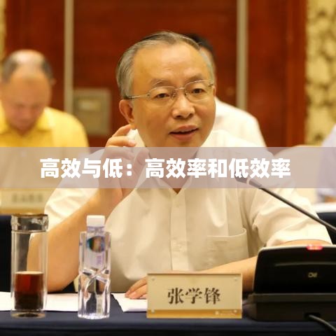 高效与低：高效率和低效率 