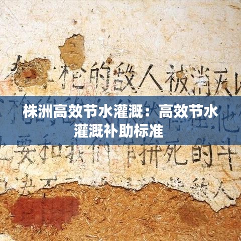 株洲高效节水灌溉：高效节水灌溉补助标准 