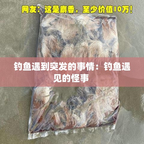 钓鱼遇到突发的事情：钓鱼遇见的怪事 