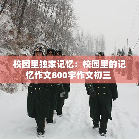 校园里独家记忆：校园里的记忆作文800字作文初三 