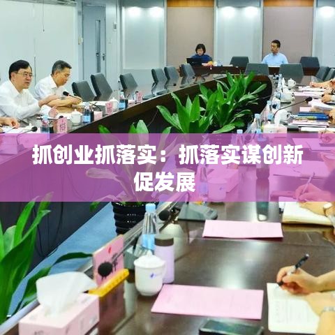 抓创业抓落实：抓落实谋创新促发展 