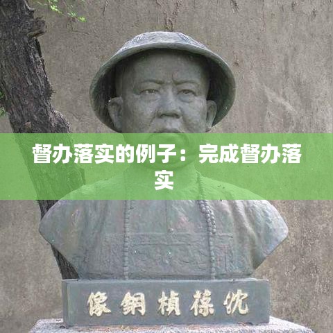 督办落实的例子：完成督办落实 