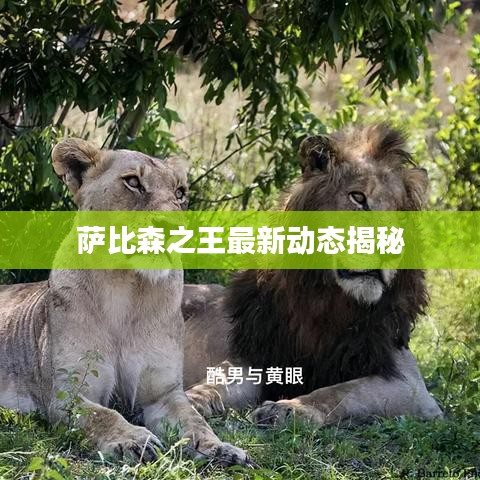 急就章 第2页