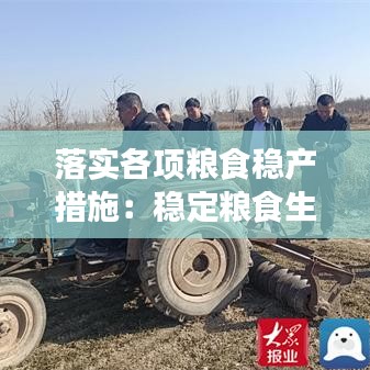 落实各项粮食稳产措施：稳定粮食生产意见 