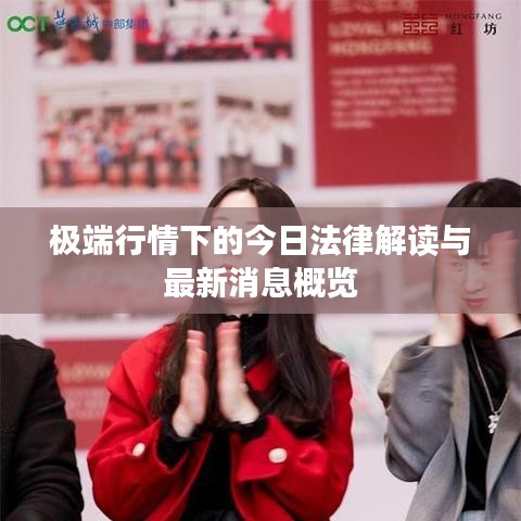 极端行情下的今日法律解读与最新消息概览