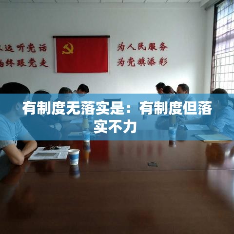 有制度无落实是：有制度但落实不力 