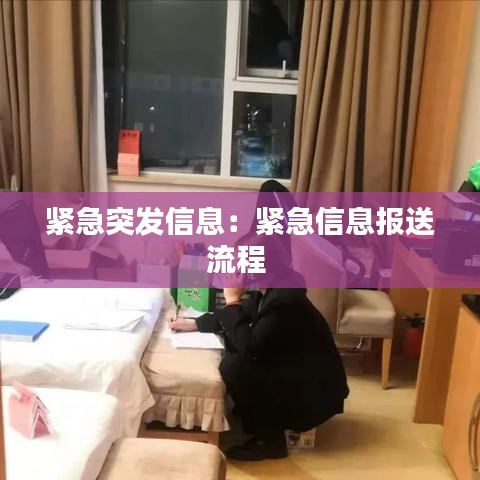 紧急突发信息：紧急信息报送流程 