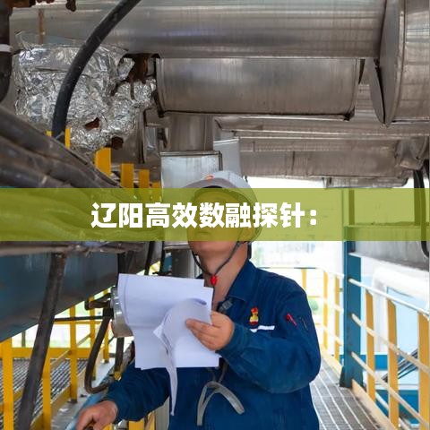 辽阳高效数融探针： 
