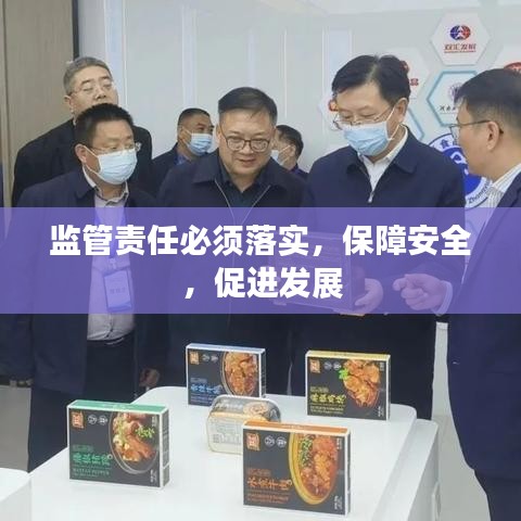 监管责任必须落实，保障安全，促进发展