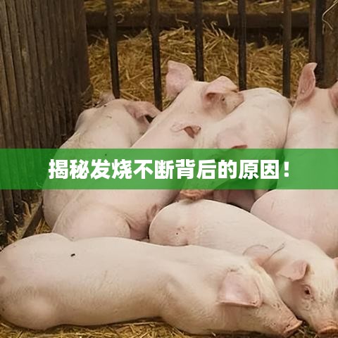 揭秘发烧不断背后的原因！