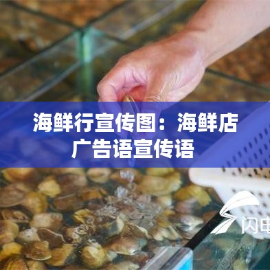海鲜行宣传图：海鲜店广告语宣传语 