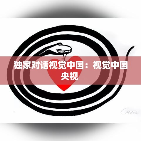 独家对话视觉中国：视觉中国央视 